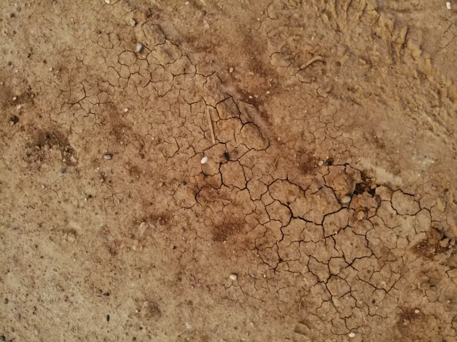 A cracked laterite surface showing the natural texture of the material
